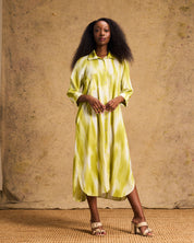 Liza Shirt Dress In Lime Lines