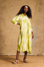 Liza Shirt Dress In Lime Lines