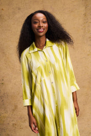 Liza Shirt Dress In Lime Lines