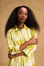 Liza Shirt Dress In Lime Lines
