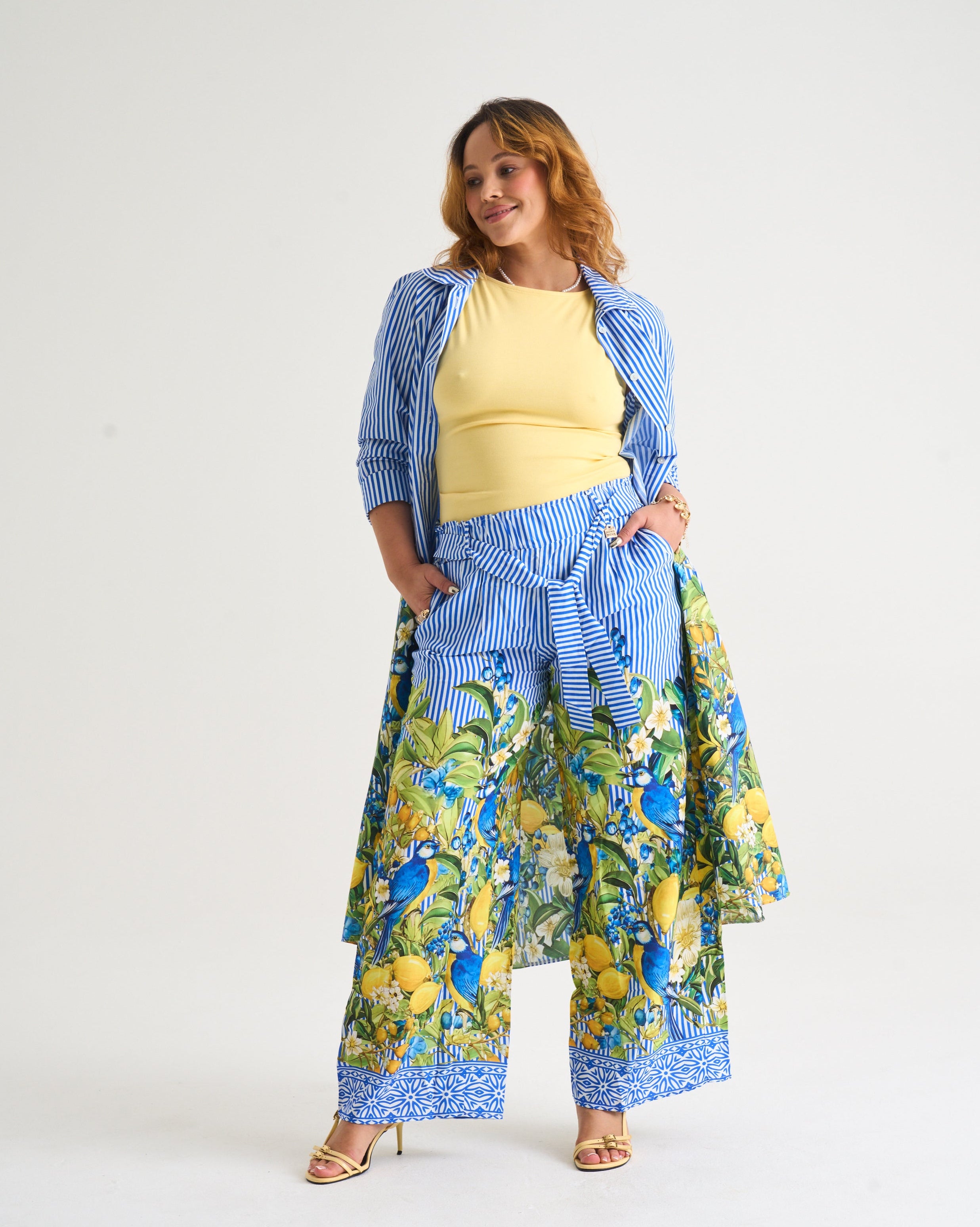 Capri Citrus Shirt Dress - Blue Stripe