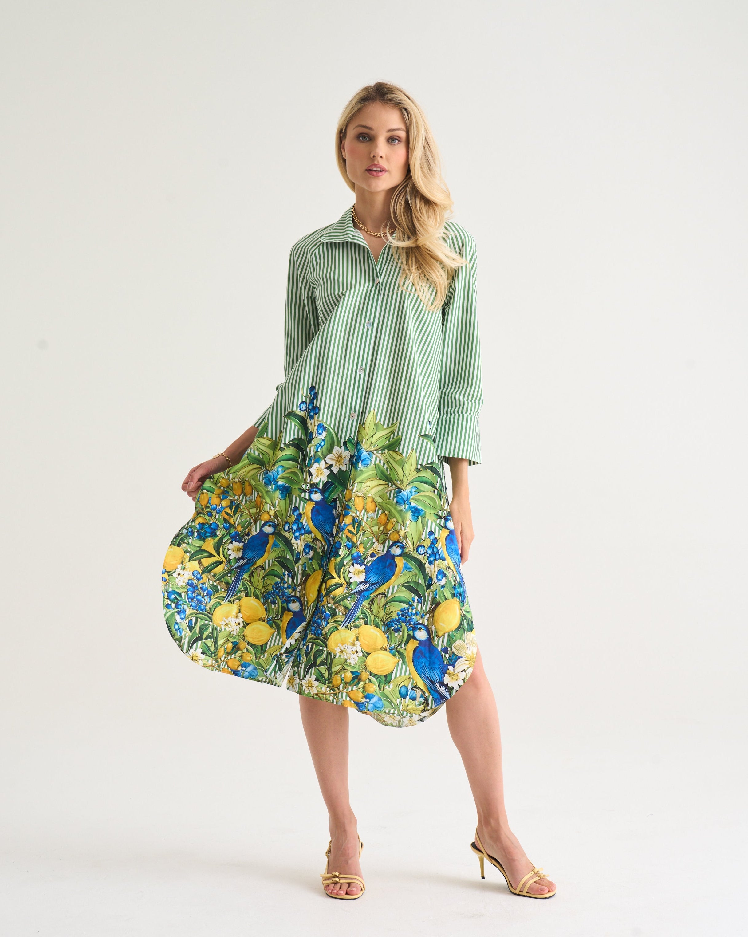 Capri Citrus Shirt Dress - Green Stripe