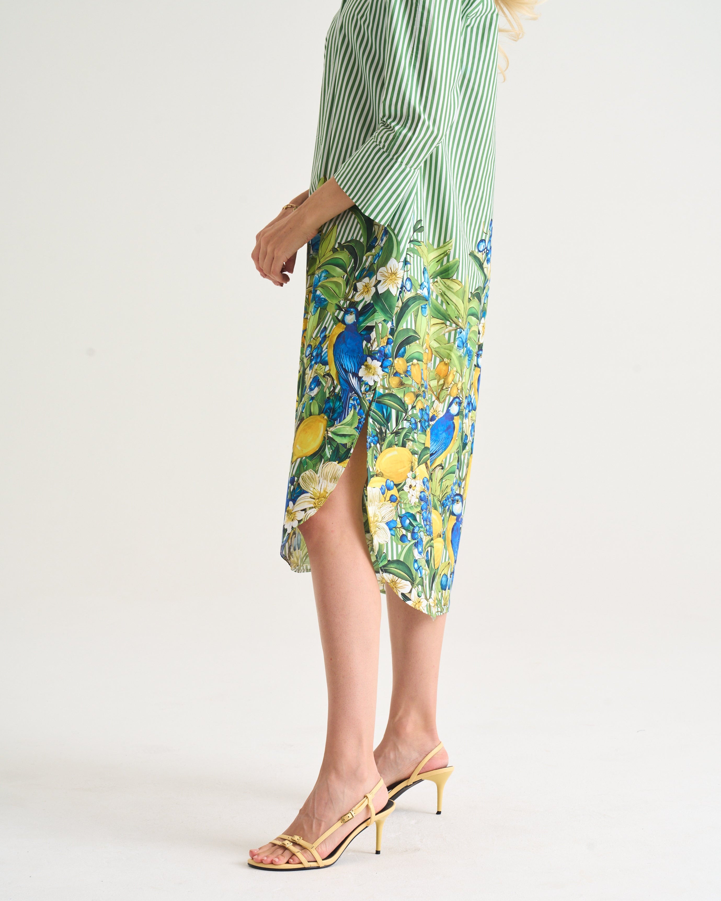 Capri Citrus Shirt Dress - Green Stripe