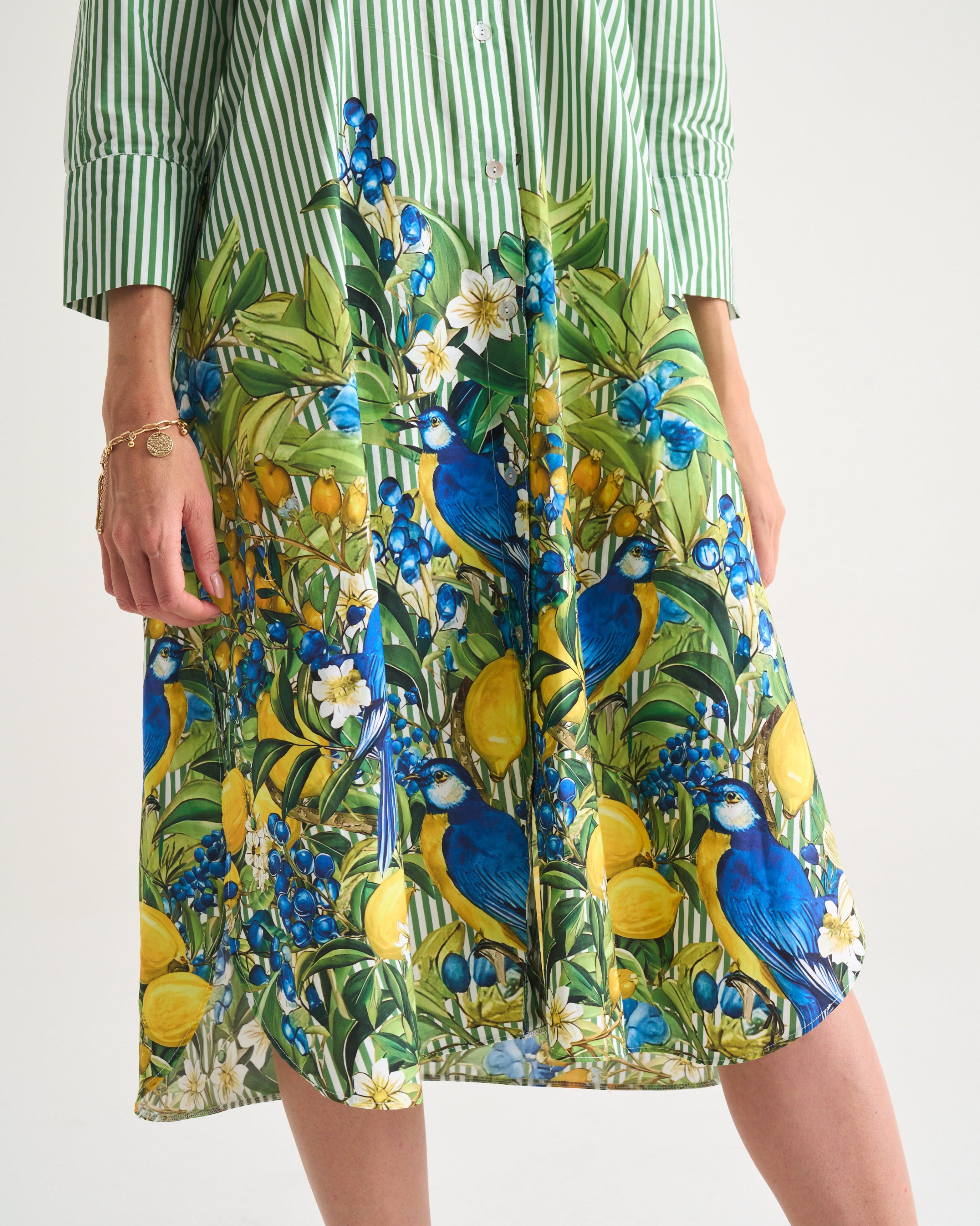 Capri Citrus Shirt Dress - Green Stripe