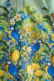 Capri Citrus Shirt Dress - Green Stripe