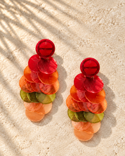 Multi Colour Shell Disk Earrings
